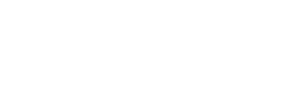 OptiOne Engine Optimization
